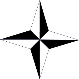 Custom bullet icon